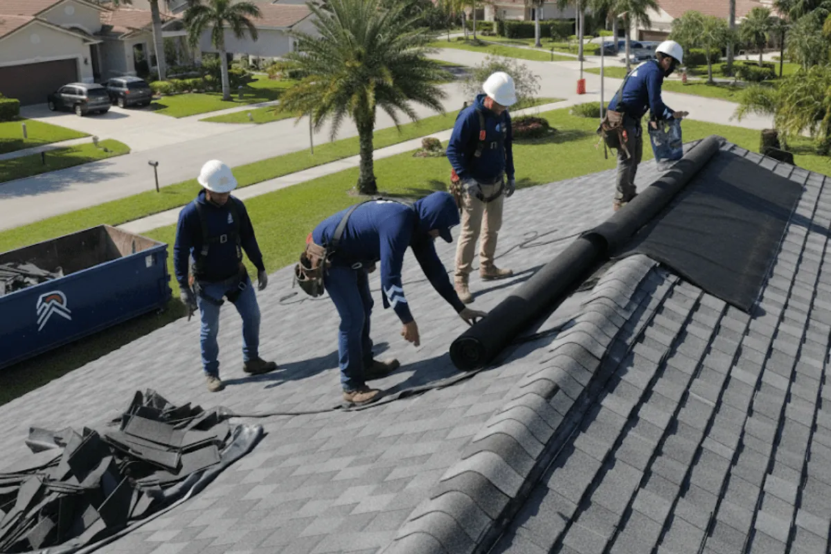 Asphalt Shingle Roof Replacement