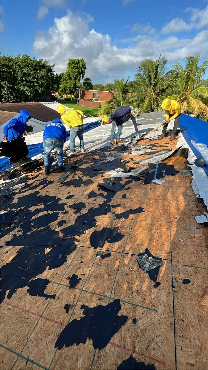 Roof Replacement